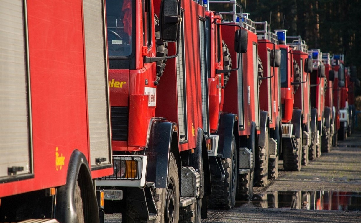 Еще 11 спецмашин появятся в сахалинском лесопожарном автопарке