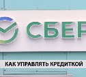 В Сбере объяснили, в каких ситуациях кредитка действительно помогает