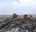 Бесплатно принимать мусор на полигон ТБО будут в Южно-Сахалинске по пятницам 