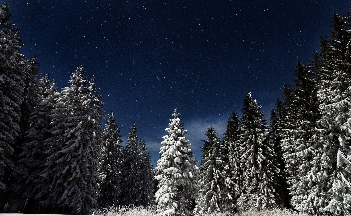 Мороз и метель: какой будет погода в районах Сахалинской области 26 января