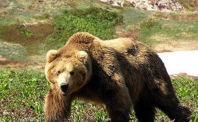Общество