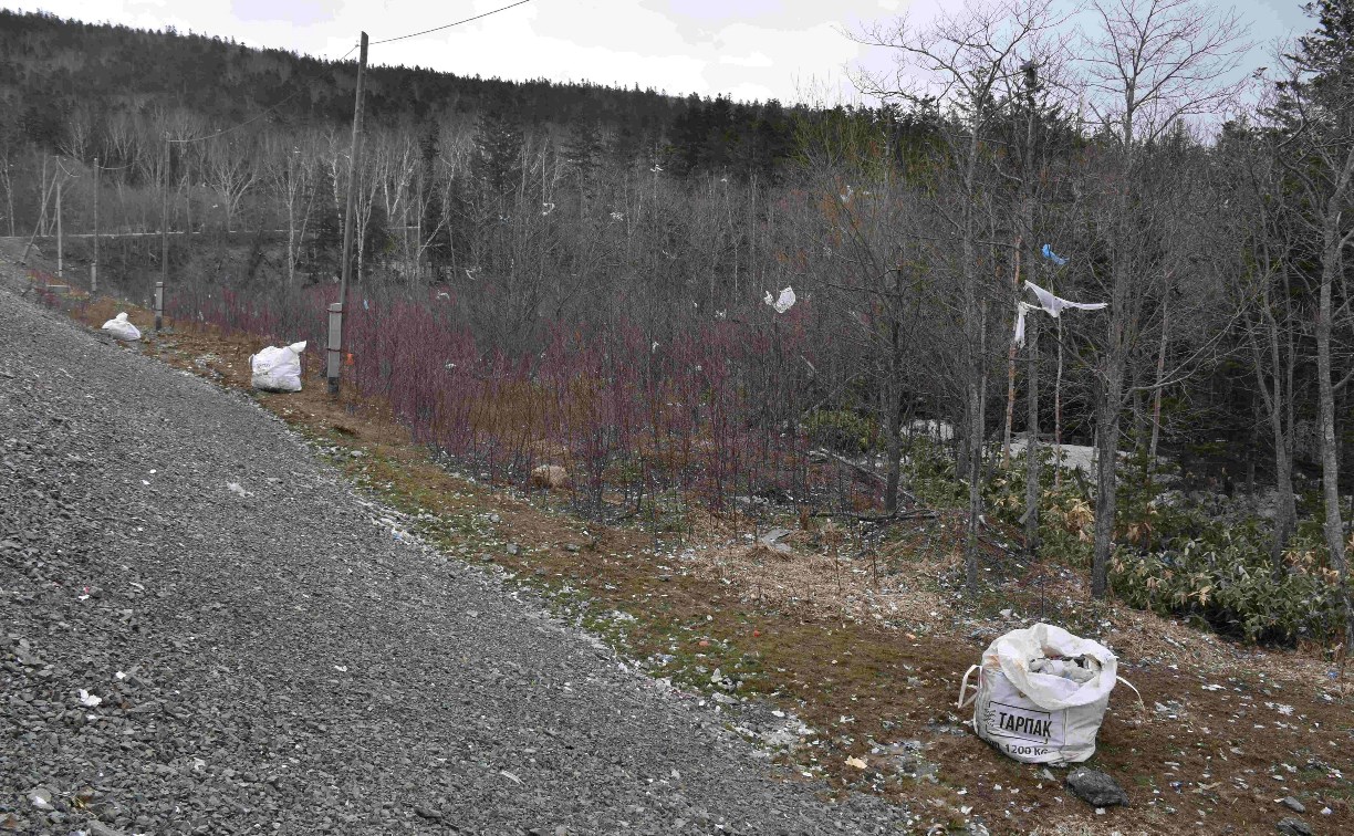 Виновных в мусорном апокалипсисе у полигона "Известковый" наказали 
