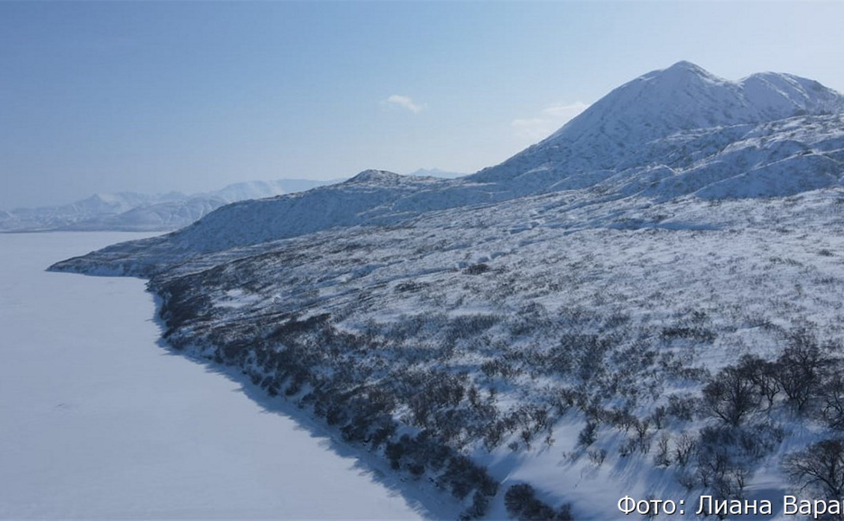 На Камчатке впервые за 4 года замерзло Курильское озеро, которое называют роддомом для нерки