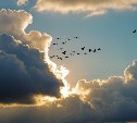 Во второй день лета на Сахалине будет пасмурная погода и в среднем +10 градусов: прогноз погоды на 2 июня