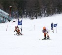 В Южно-Сахалинске прошел I этап Кубка Сахалинской области по горнолыжному спорту