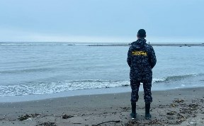Происшествия