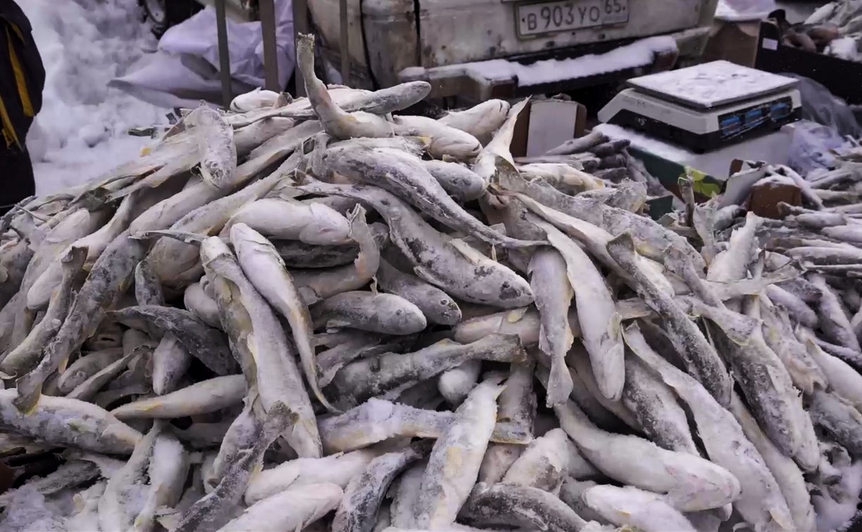 Южносахалинцев приглашают купить свежую рыбку