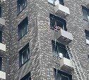 Выпавшую с 12 этажа собаку в Южно-Сахалинске спасли под крики "Ура!"