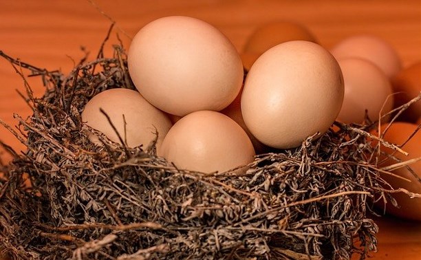 В России цены на яйца поползли вверх, Сахалин пока держится