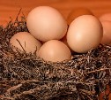 В России цены на яйца поползли вверх, Сахалин пока держится