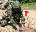 На Сахалине военные с собаками обезвредили мины и замаскированные растяжки