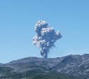 Вулкан Эбеко выбросил километровый столб пепла
