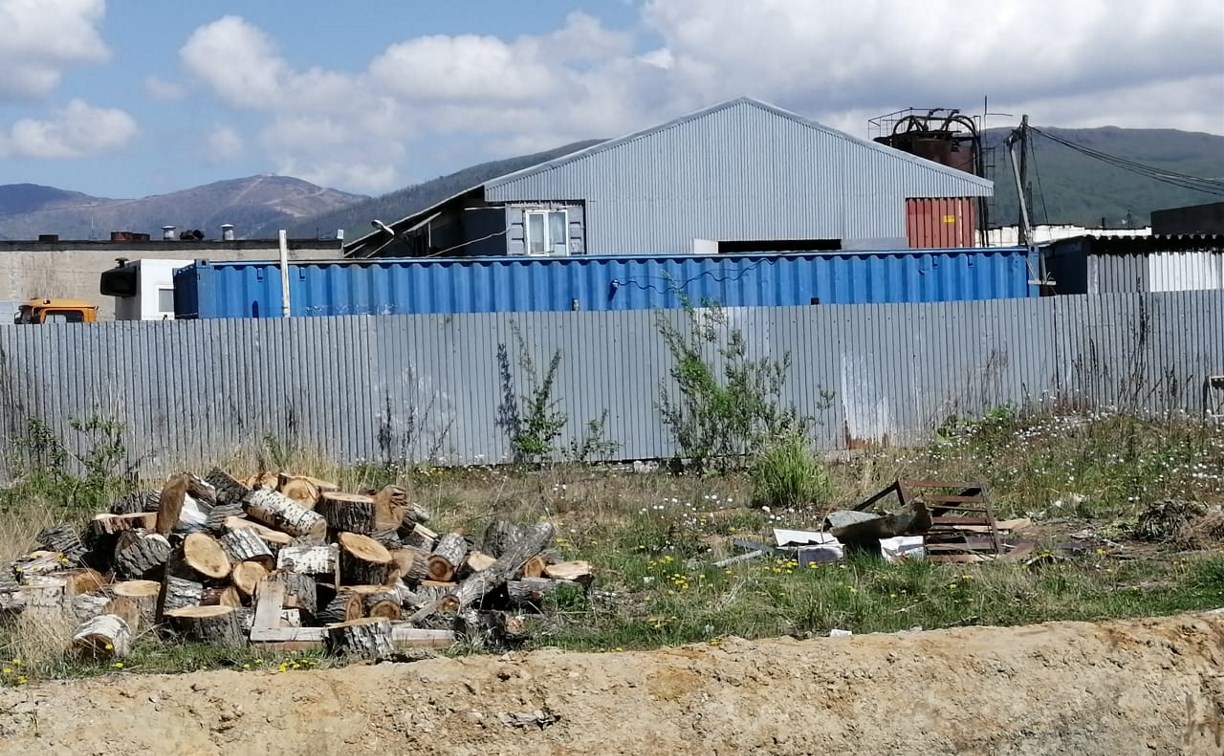 Десять предпринимателей в Южно-Сахалинске не убрали мусор на своих территориях