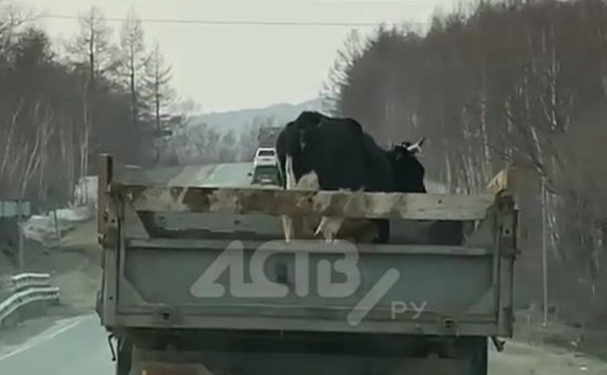 Успела даже в туалет сходить