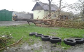 Происшествия