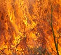 Гектар травы выгорел возле трассы в Долинском районе