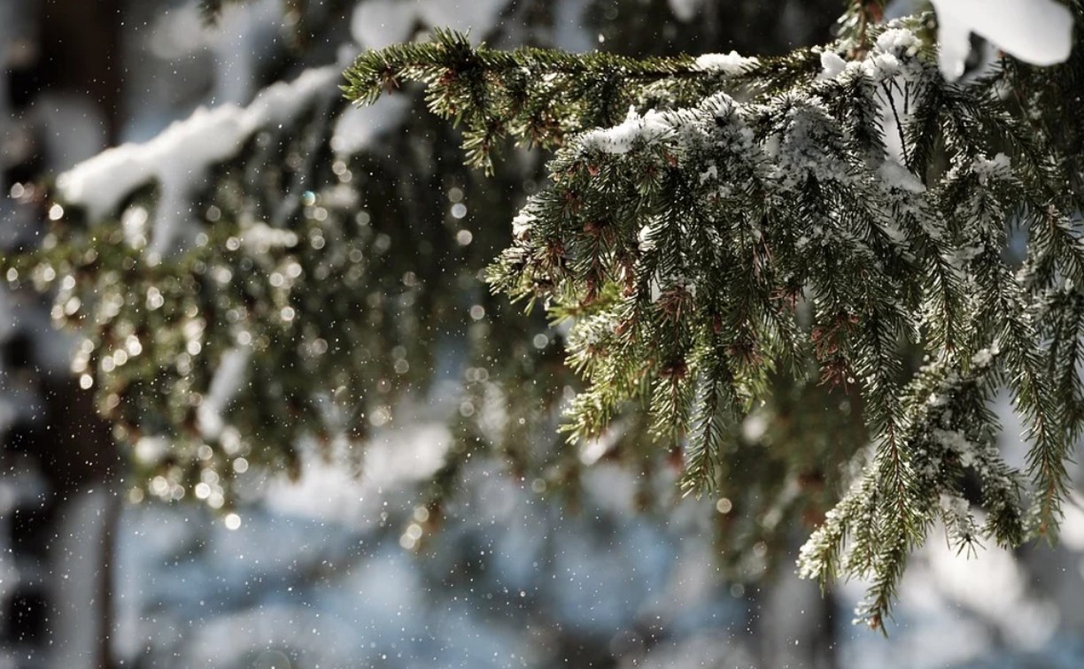 Снег вернётся в Сахалинскую область: подробный прогноз погоды на все районы 15 марта