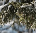 Снег вернётся в Сахалинскую область: подробный прогноз погоды на все районы 15 марта