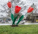 ОНФ просит мэра Южно-Сахалинска объяснить, зачем город закупил пластмассовые тюльпаны