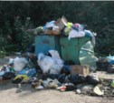 Управляющая компания в Корсакове уже две недели не убирает мусор во дворе дома (ФОТО)