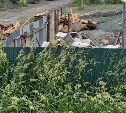 Южносахалинка рассказала, как бойцовская собака на самовыгуле держит в страхе всю улицу