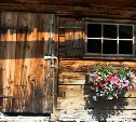 Пенсионер из Корсакова столкнулся с молодым грабителем, который залез на его участок 