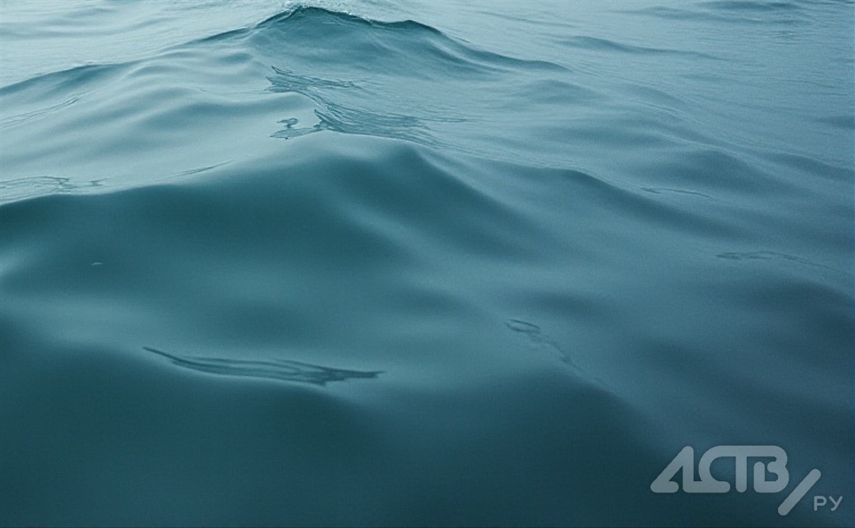 22 жизни, более 1000 рейдов и 200 протоколов— итоги навигации на Сахалине в 2025 году