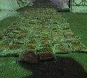 Охинцы незаконно хранили более 400 килограмм краснокнижной калуги и продавали по району