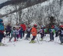 Почти 100 горнолыжников приняли участие в открытом первенстве Невельского района