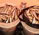 Сотрудники уголовного розыска задержали сахалинца с 450 корюшками