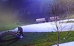 Общество