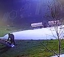 Глава Долинского района пристыдил горожанку, укравшую цветы с городской клумбы