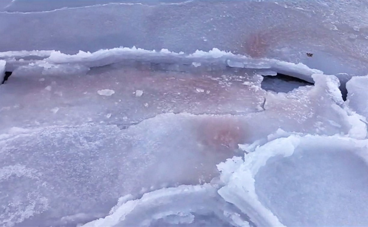 Учёные зафиксировали феномен красного льда в Приморье