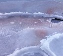 Учёные зафиксировали феномен красного льда в Приморье