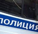 Сахалинские полицейские задержали подозреваемого в серии угонов и краже