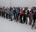 Сахалинские чиновники вышли на лыжню