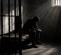 Житель Смирных прокатился вокруг дома и попал в колонию