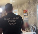 Фигуранты дела о нелегальном оформлении около 1000 мигрантов уволены из УМВД на Сахалине