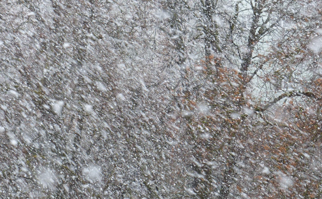 Снег вернётся в южные районы Сахалина