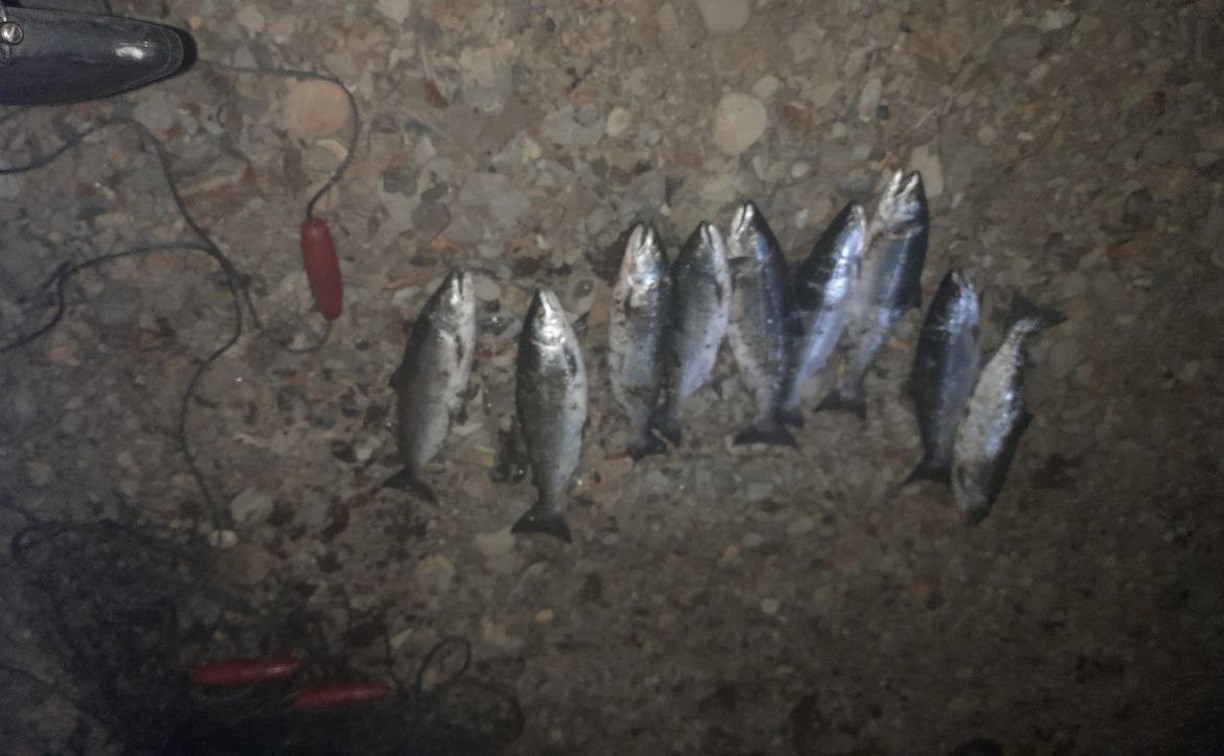 На Сахалине поймали трех браконьеров с рыбой на сумму больше 300 тысяч рублей 