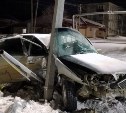 В Чехове "Тойоту" намотало на столб, пострадали двое