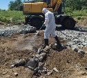 Биотермическую яму ликвидировали на территории бывшего совхоза в Анивском районе