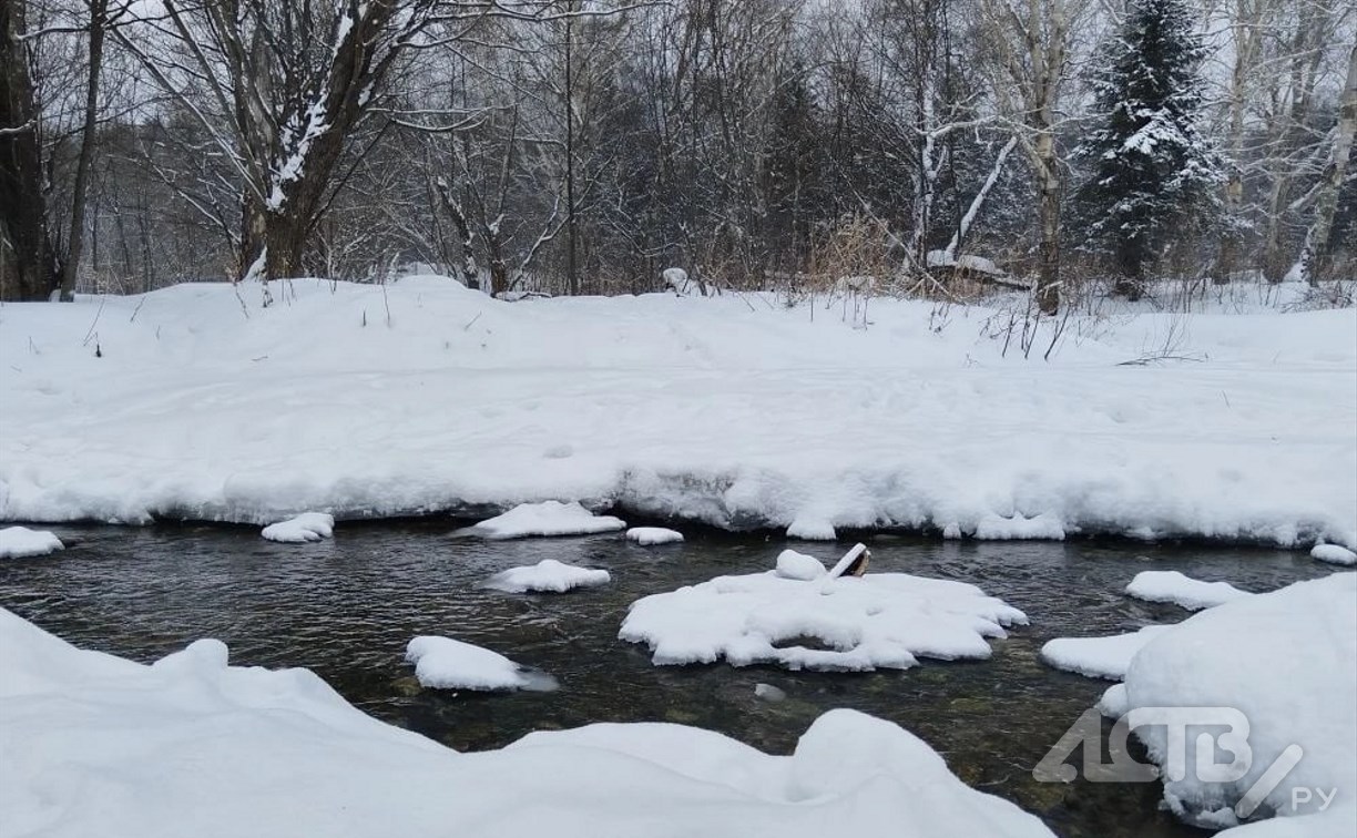 На Сахалине уже 19 лет ищут друзей, пропавших при загадочных обстоятельствах 