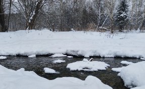 Происшествия