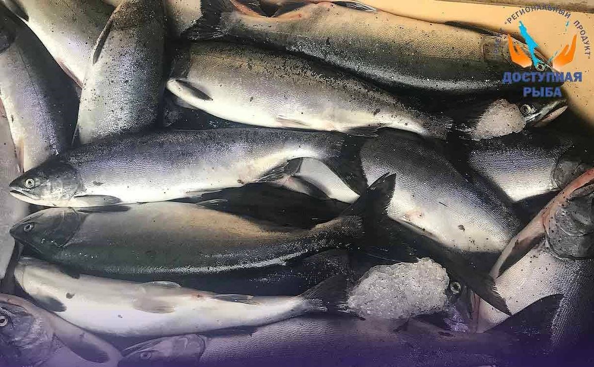 Почти 25 тонн морепродуктов по программе "Доступная рыба" купили жители Александровска-Сахалинского