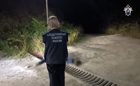 Происшествия