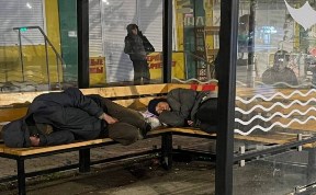 Общество