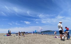 Общество