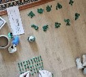 Более тысячи доз: закладчика из Узбекистана с крупной партией героина задержали на Сахалине 
