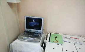 Общество